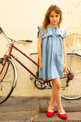 Celestine Chambray Dress