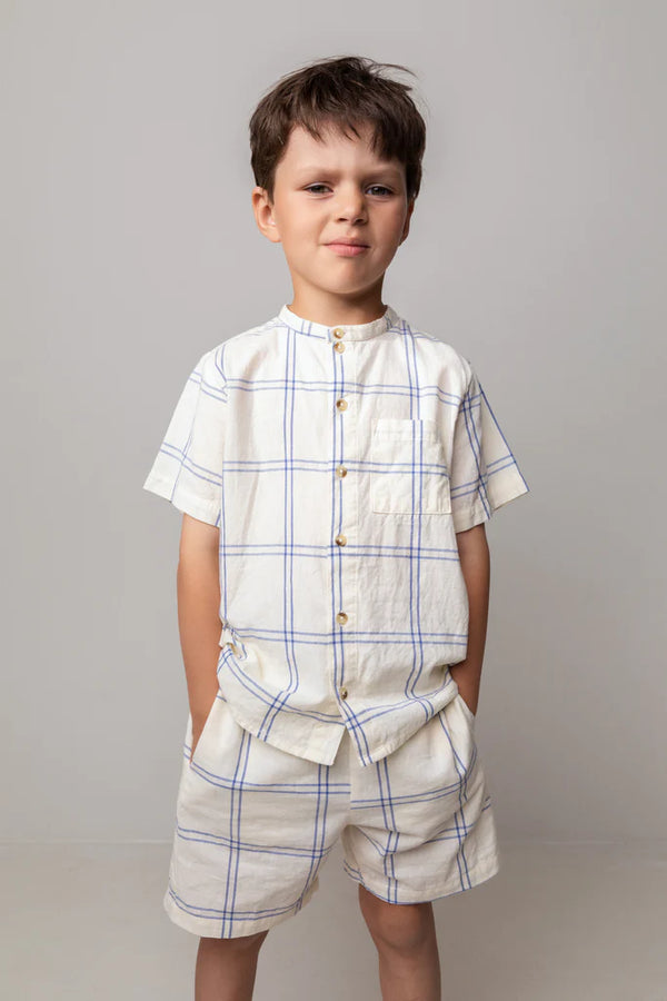 Theodor Shirt in Blue Check